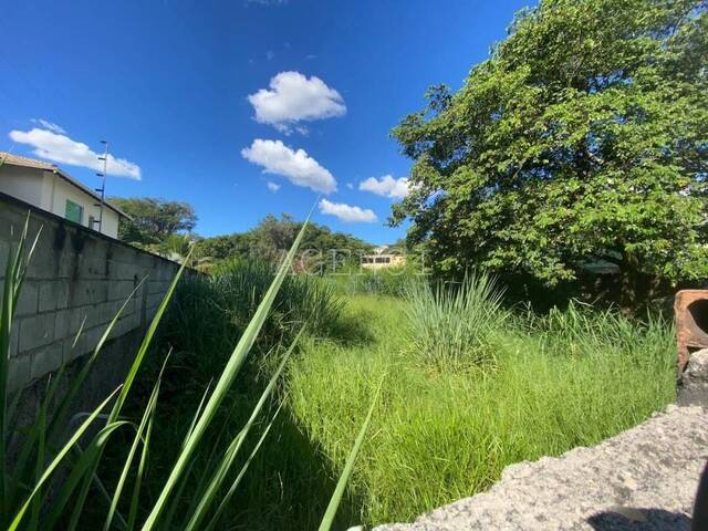 #207 - Área para Venda em Belo Horizonte - MG - 2