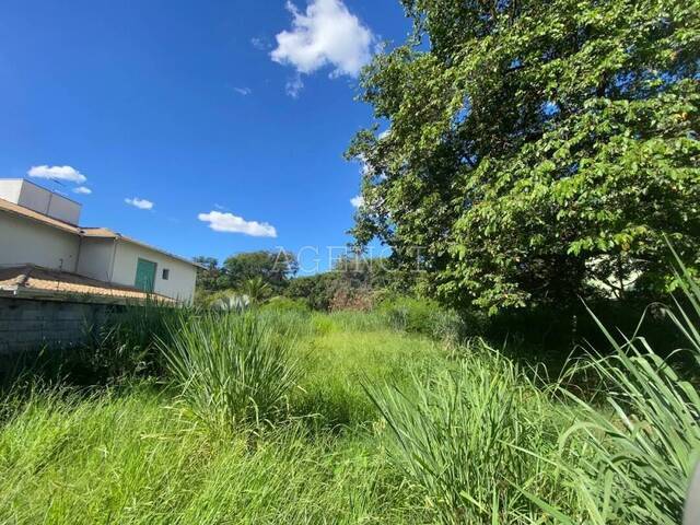 #207 - Área para Venda em Belo Horizonte - MG - 1