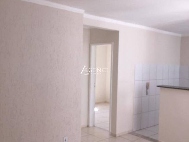 #704 - Apartamento para Venda em Contagem - MG - 3