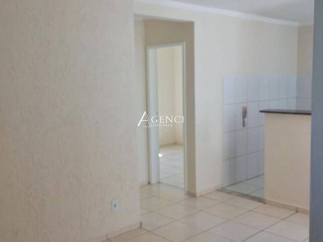 #704 - Apartamento para Venda em Contagem - MG - 1